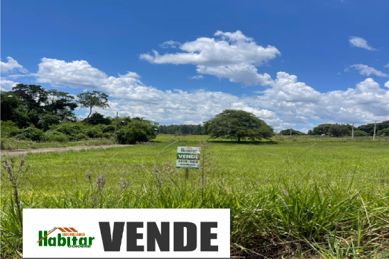 Terreno 250.31m Moreira Sales-PR 360